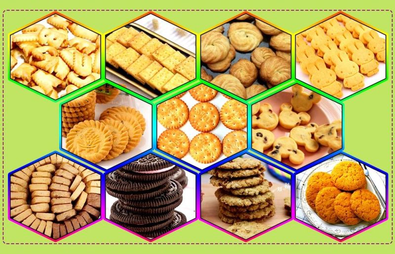 Hot Sale Factory Supplier Automatic Biscuit Machine with High Quality