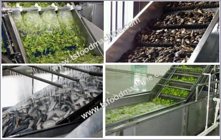 Industrial Fruit Vegetable and Seafood Washing Machine or Washer