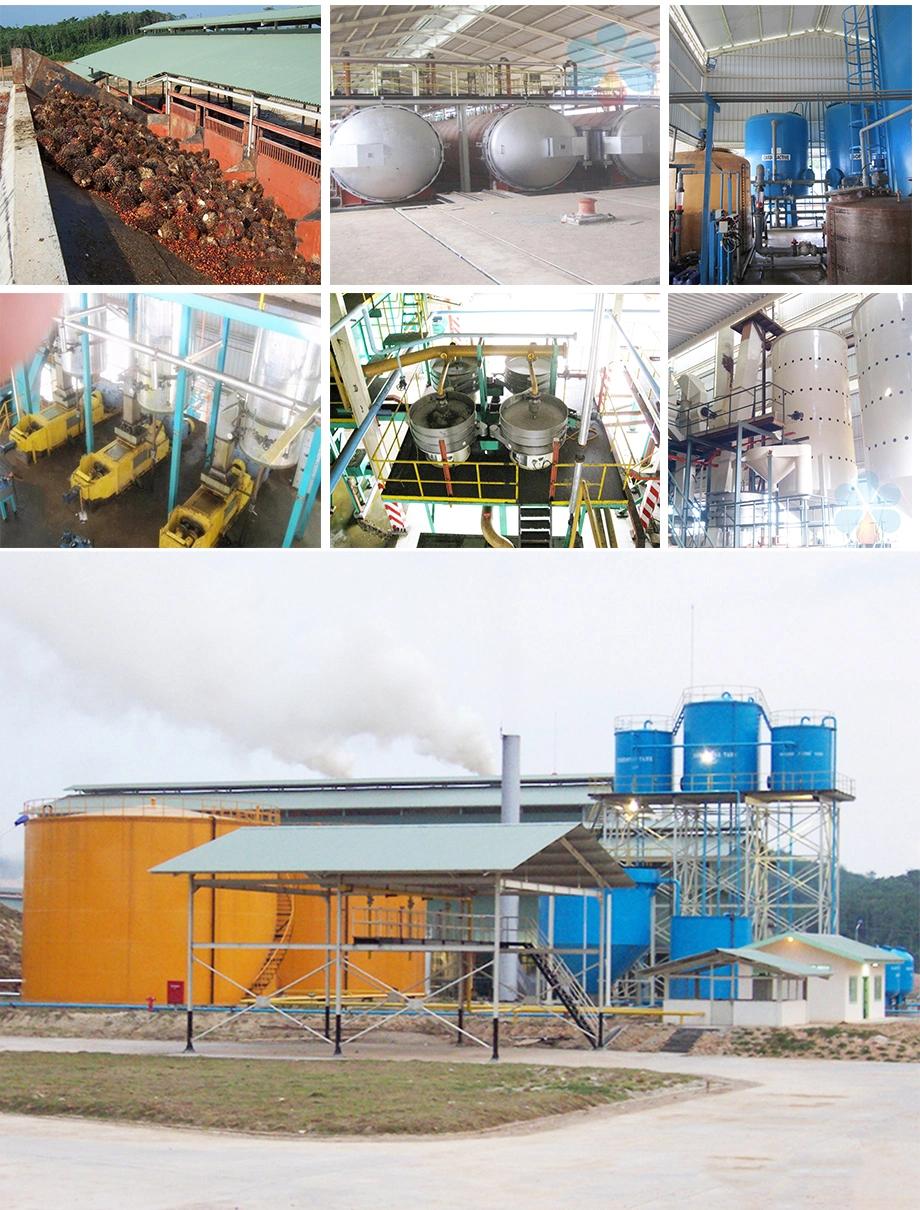 China Best Quality Huatai New Design Palm Kernel Oil Extraction Machine Plant From Fruits