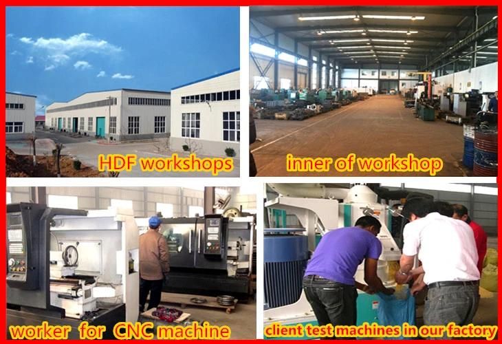 Best Factory Price 100t/D Wheat Flour Milling Machine Plant