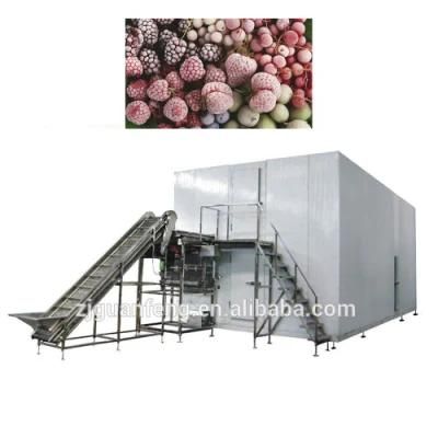 5000kg Industrial IQF Freezer Freezing Euipment for Freezing Fruits Process