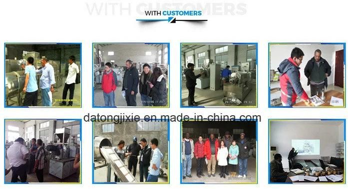 Jinan Datong Pet Dog Food Making Extruder