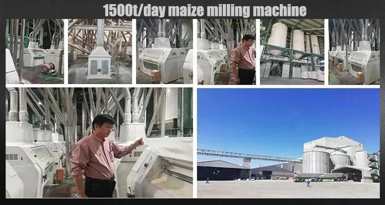 50ton Maize Flour Mill Machine for Super White Flour