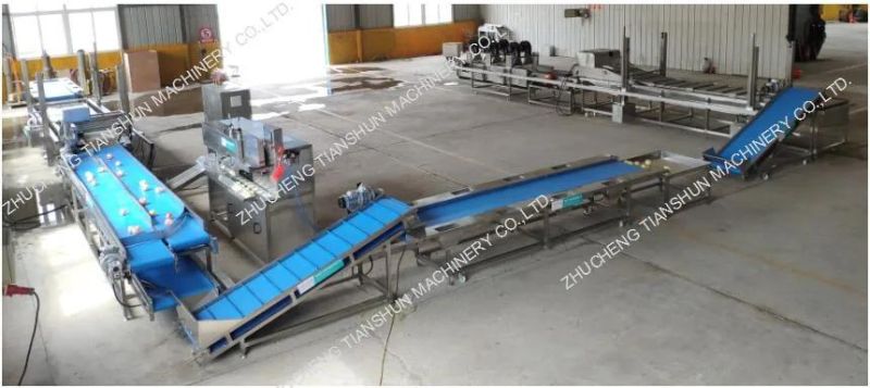 Freeze-Dried Apple Slices Fruit Vegetable Processing Production Line