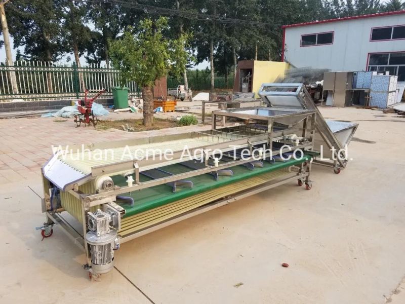 Kiwi Fruit Grader Walnut Grader Walnut Grading Machine