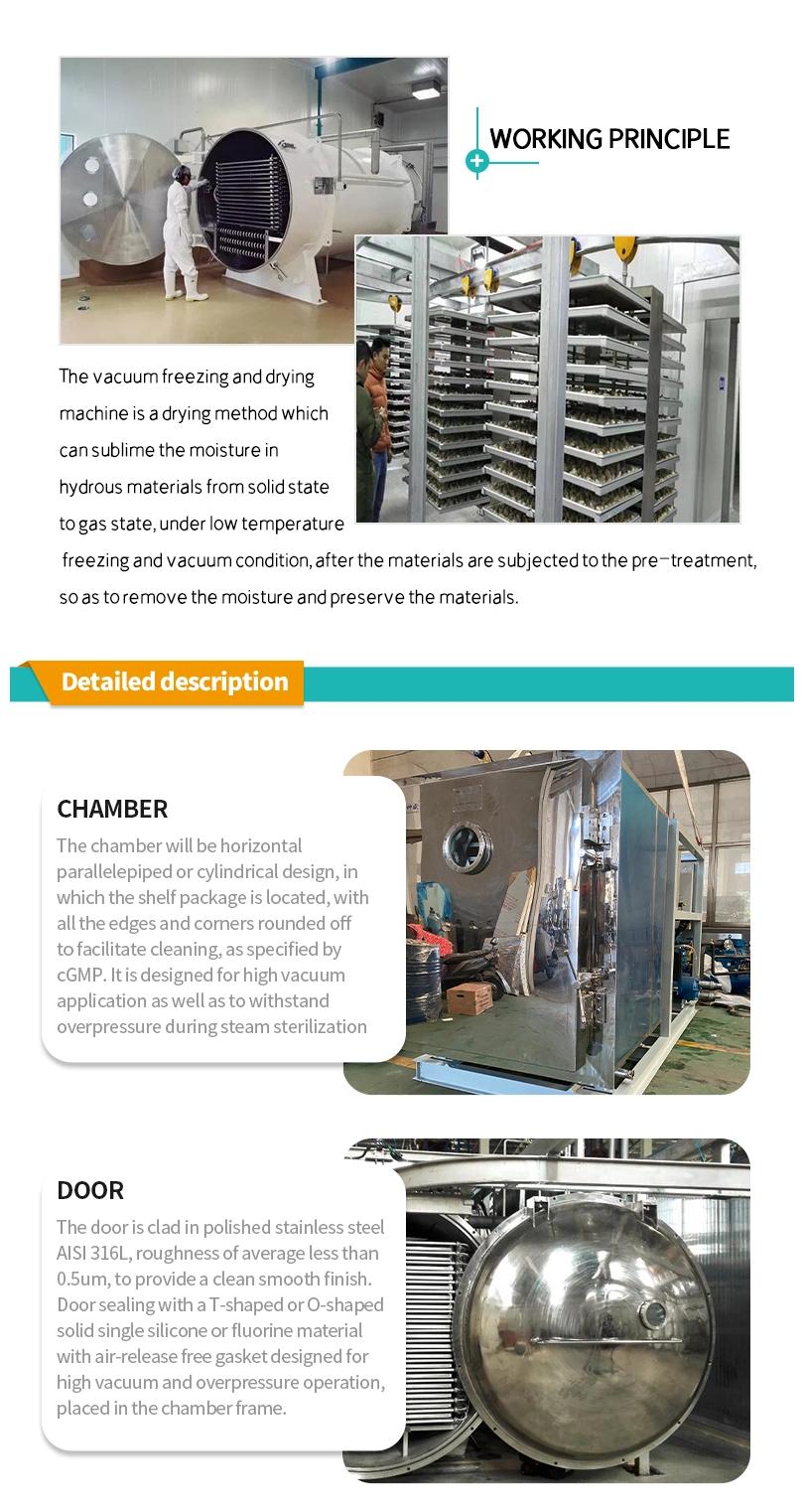 Dried Fruits Vacuum Freeze Drying Lyophilizer