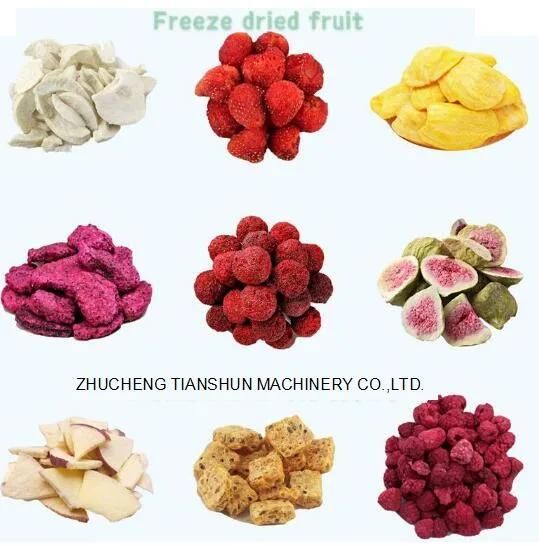 Freeze Drying Machine Lyophilizer Vacuum Home Food Freeze Dryer