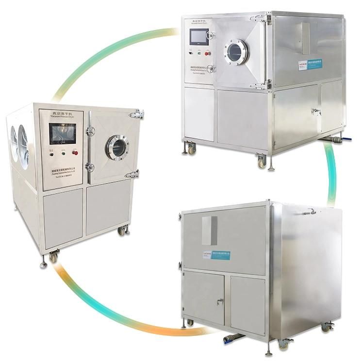 Freezer Dryer Drying Machinery Pet Cat Food Vacuum Freeze Dryer