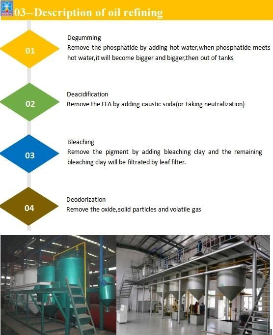 Proved Frozen Beef Cutting, Boiling, Cooking, Beef Butter Refining Equipment