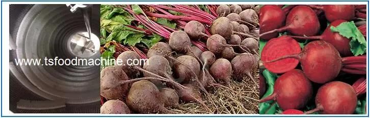 Beet and Beetroot Washer and Sugar Beet Washing Machine