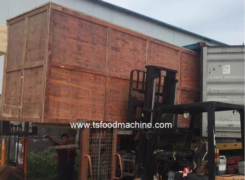 Ta Meya Fryer Ta Meya Frying Machine Ta Meya Processing Machine