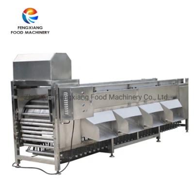 5 Grades Onion Potato Sorting Machine, Fruit Plum Grader Machine