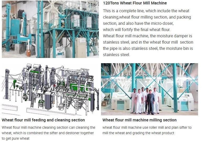 120t/24h New Design Factory Price Wheat Flour Mill Making Machine