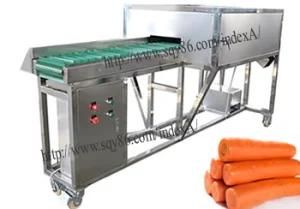 Ss 304 Carrot Top and Bottom Cutting Removing Machinery Equipment