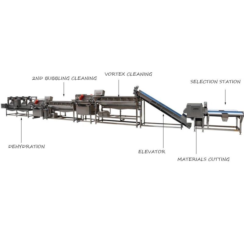 China Supplier Full Automatic Bubble Washer Machine for Fruits and Salad Leaf Vegetables Processing Production Line