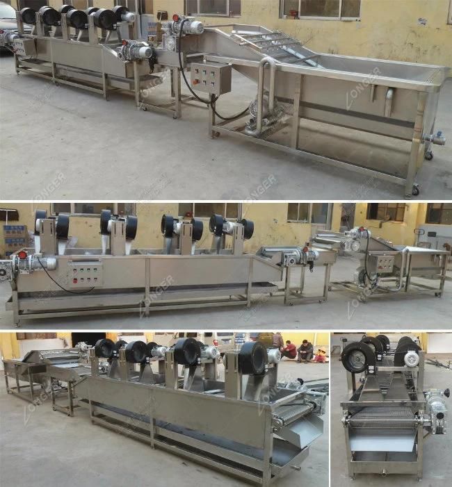 Best Quality Commerical Fruit Washer Price for Sale