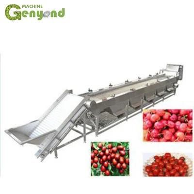 Red Kidney Bean Sorting Machine Dates Sorter and Cleaning Manufacturing