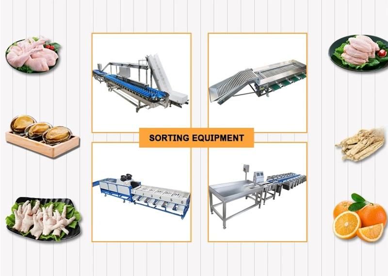 Low Price Vegetable and Fruit Size Sorting Machine