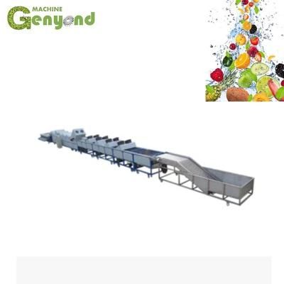 Fruit Apple Waxing Sorting Machine