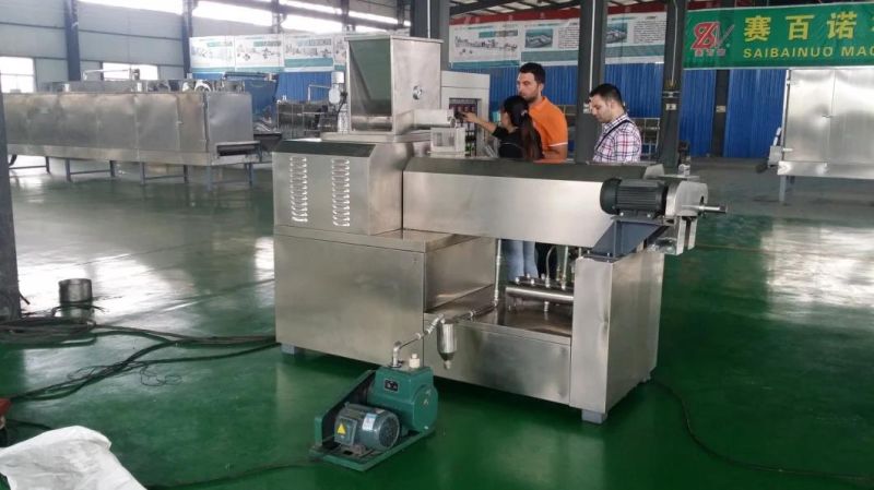 2016 Hot Sale Automatic Pasta Processing Plant
