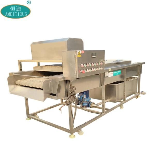 Industry Fruit Processing Line Fruit Washer Apple Washer