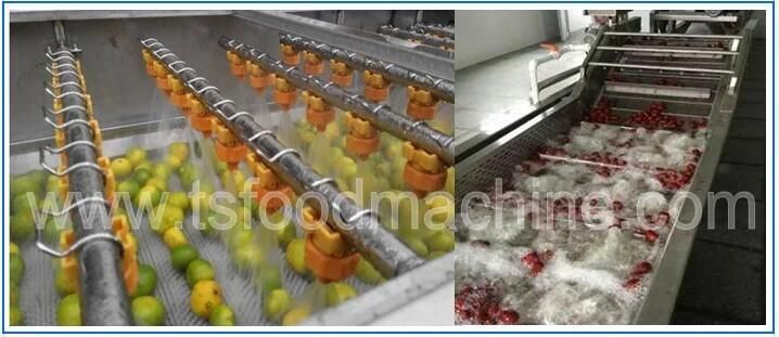 Fruit Vegetable Wash Machine and Washing Machine with Ozone Generator