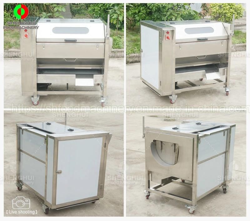 Brush Carrot Cleaning Machine Fruit Washing Machine Potato Peeling Machine