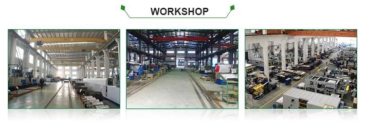 Factory Supply Cube Sugar Production Line