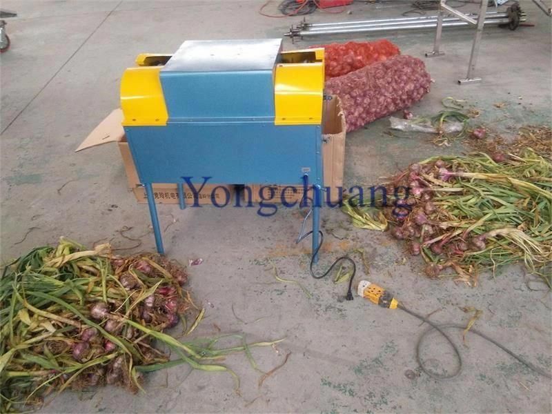 High Quality Garlic Cutting Machine with High Efficiency