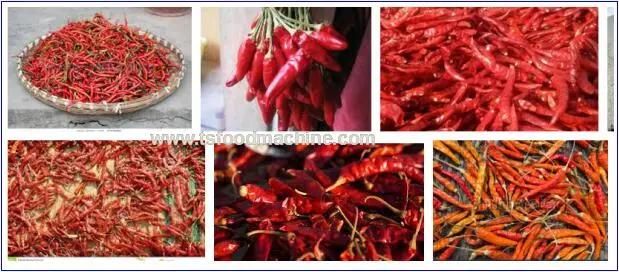 Industrial Fruit and Vegetable Drying Machine Pepper Drying Machine