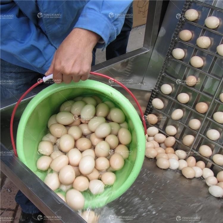 FT-200 Hen Egg Shelling Machine