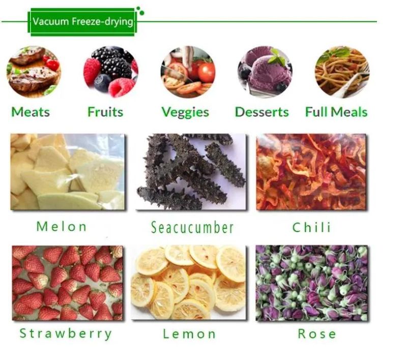 Dried Fruit Freeze Dryer Machine Fruit Vacuum Lyophilizer