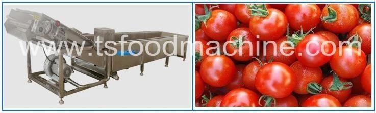 Tomato Washing Machine and High-Pressure Spray Washer Machine