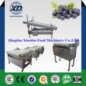 Automatic Blueberry Sorting Weighing Packing Line