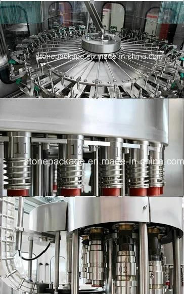 High Quality Complete Water Production Line (CGF)