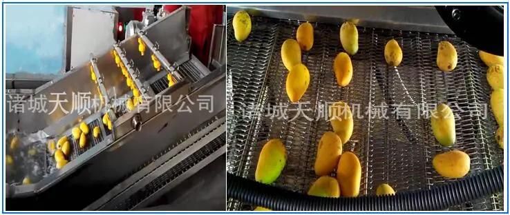 Potato Chips Bubble Washing Machine for French Fries Making Line