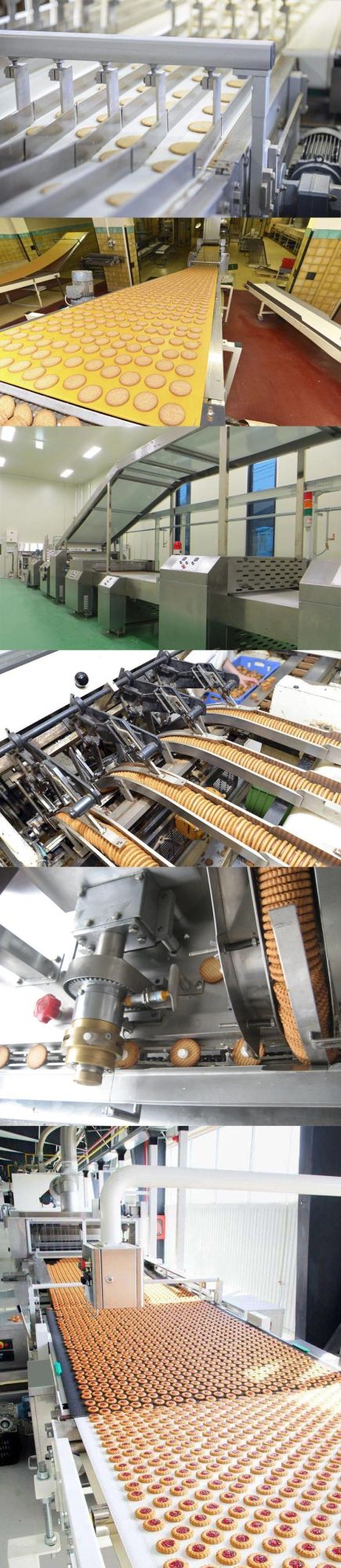 Industrial Small Biscuit Cookie Production Line