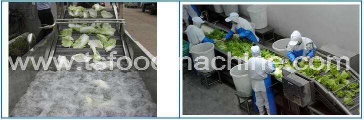 Vegetable Washing Machine and Dehydrate Machine