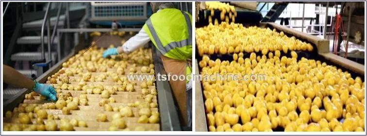 Potato Washer Washing Machine and Potato Peeling Machine Potato Peeler