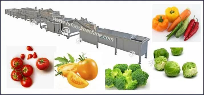 Vegetable Equipment and Vegetable Processing Machine