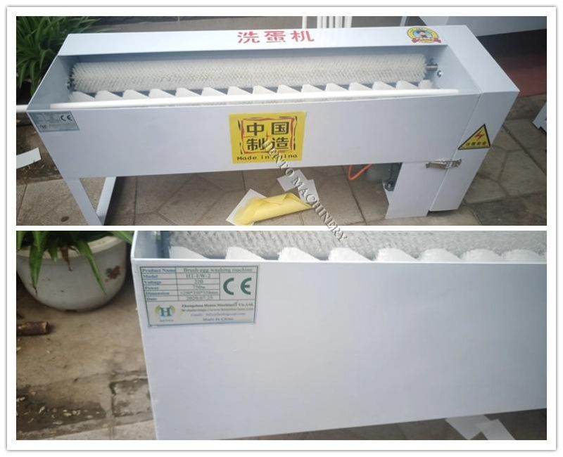 Automatic Egg Washing Machine Egg Washing Equipment