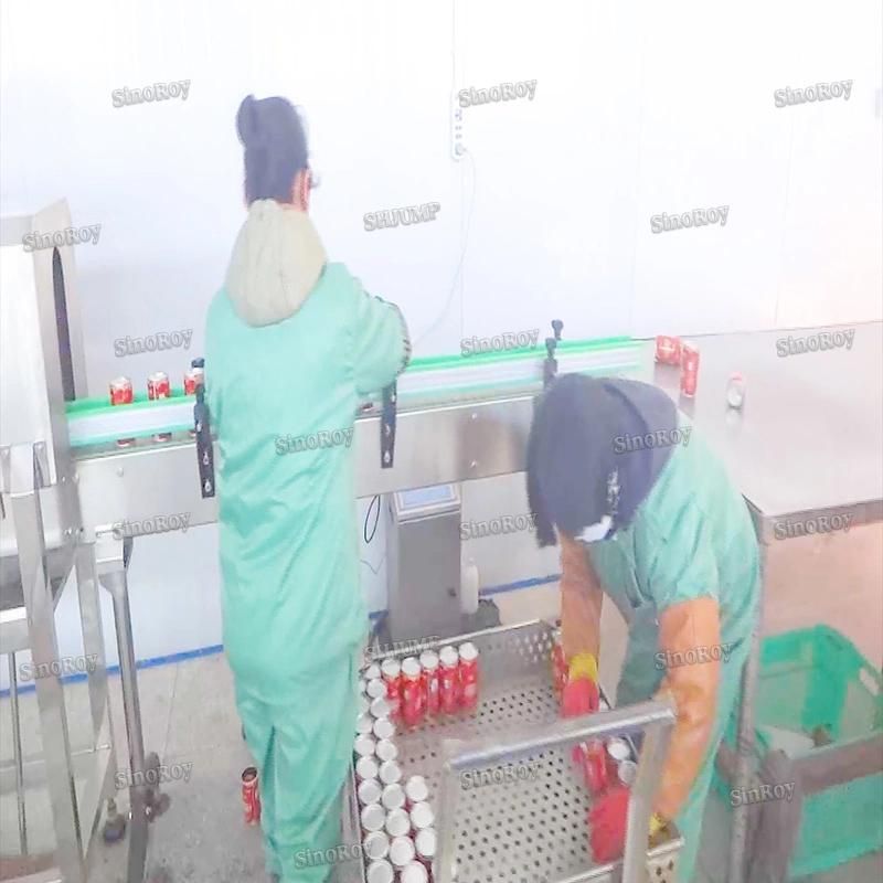 20-200kg Per Hour Red Dates Juice Red Dates Paste Processing Line