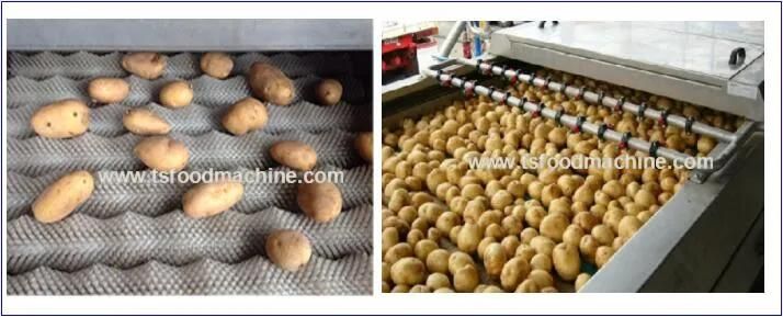 Vegetable Washing Machine Cleaning Machinery for Potato