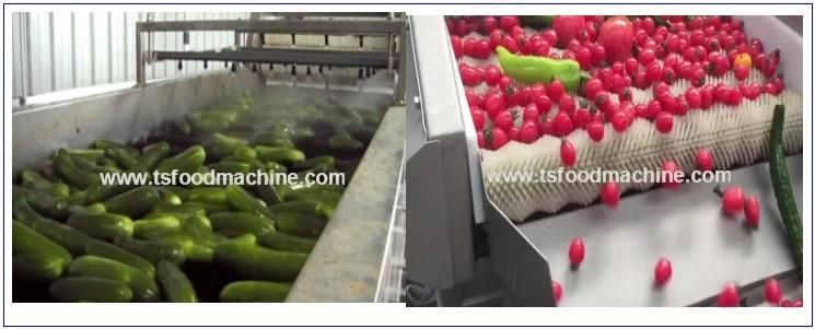 Kiwi Apple and Cucumber Washing Machine, Remove Dirt Machine