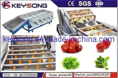 Food Plant Equipment Fruit Sorting Grading Washing Machinery