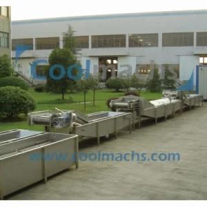 Raspberry Frozen Product Line IQF Raspberry Processing Line/Freezer Line