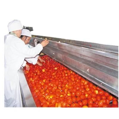 Advanced Concentrated Tomato Paste Making Machine