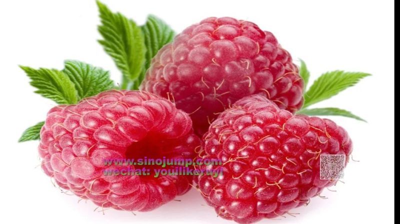 a Raspberry Puree/Paste Processing Turnkey Solution