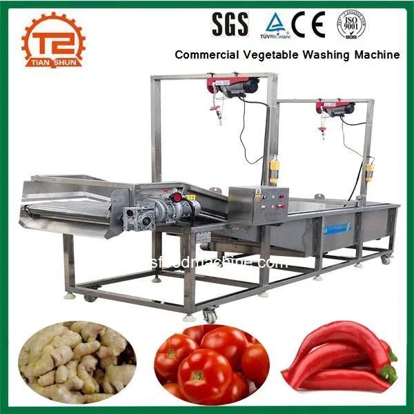 Commercial Vegetable Fruit Cleaning Equipment Washer Washing Machine