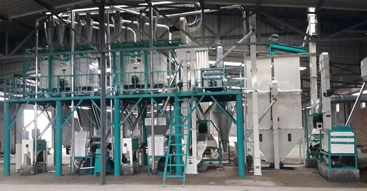 30 T/D Maize Corn Flour Milling Machine Plant for Africa Market